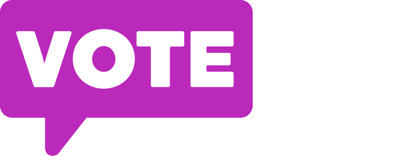 VOTE411 Logo