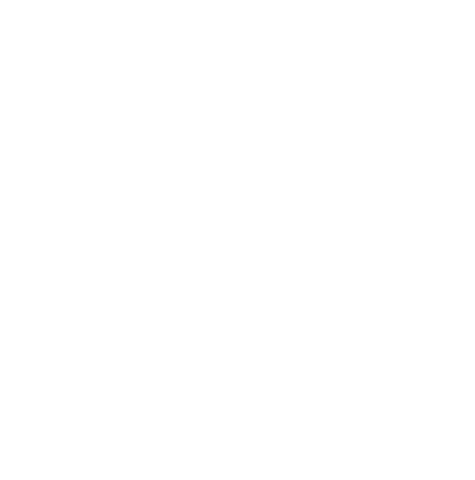 Reader Voter Ready Logo