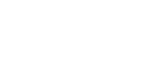 Chamber of Mothers Logo