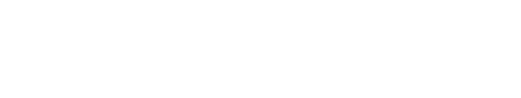 LWV Logo